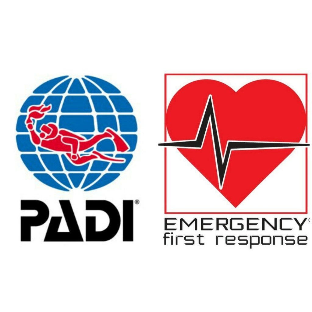 Emergency First Response (Оказание Первой Помощи)  